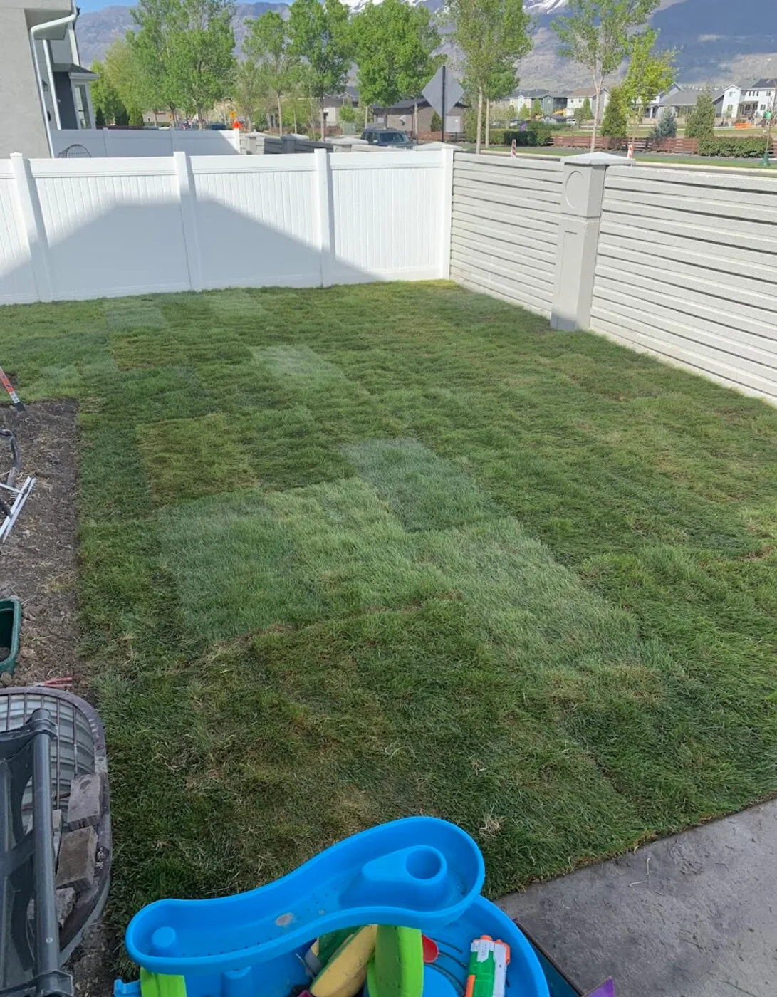 New lawn after fresh sod installation
