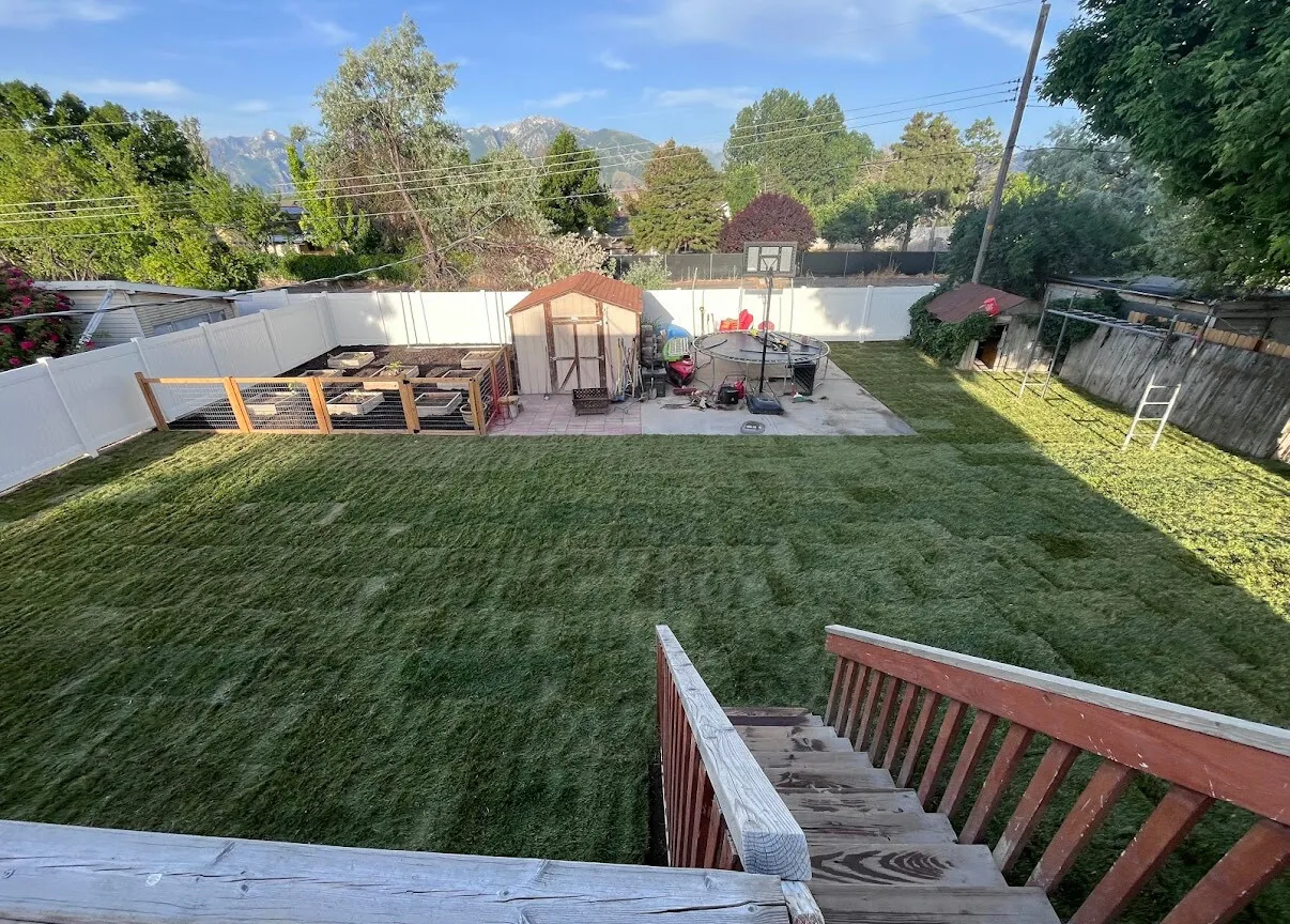 Clean green sod edge after installation